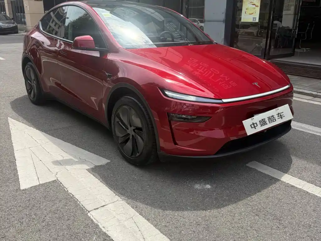 Tesla Model Y — фото 3