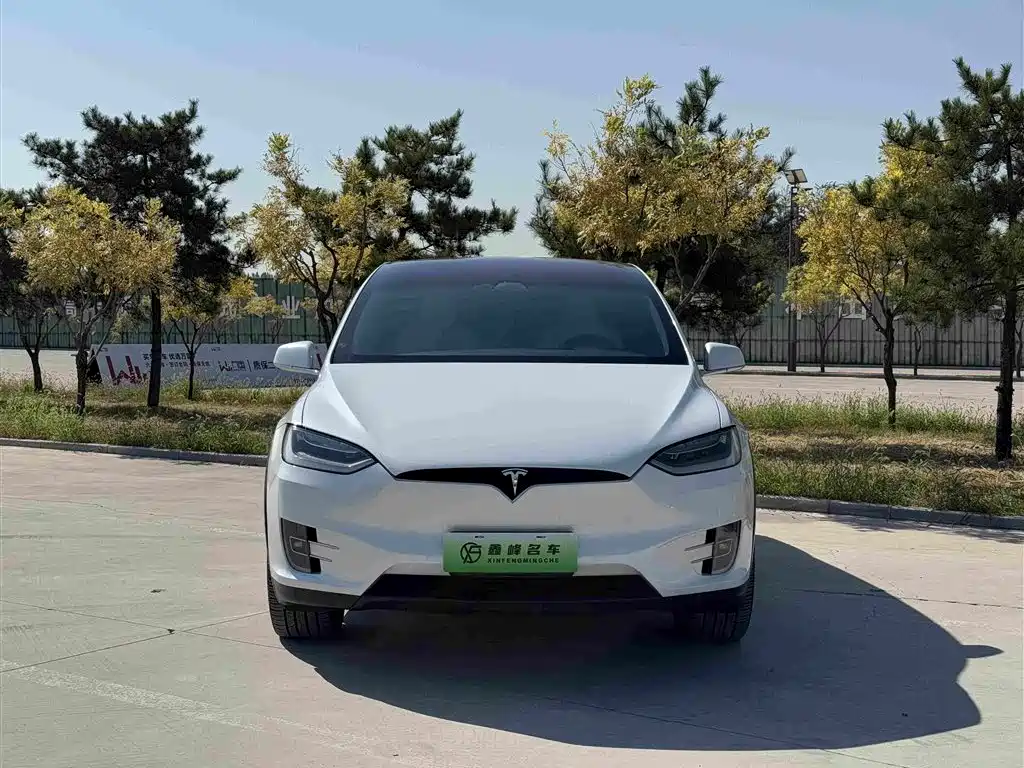 Tesla Model X — фото 2