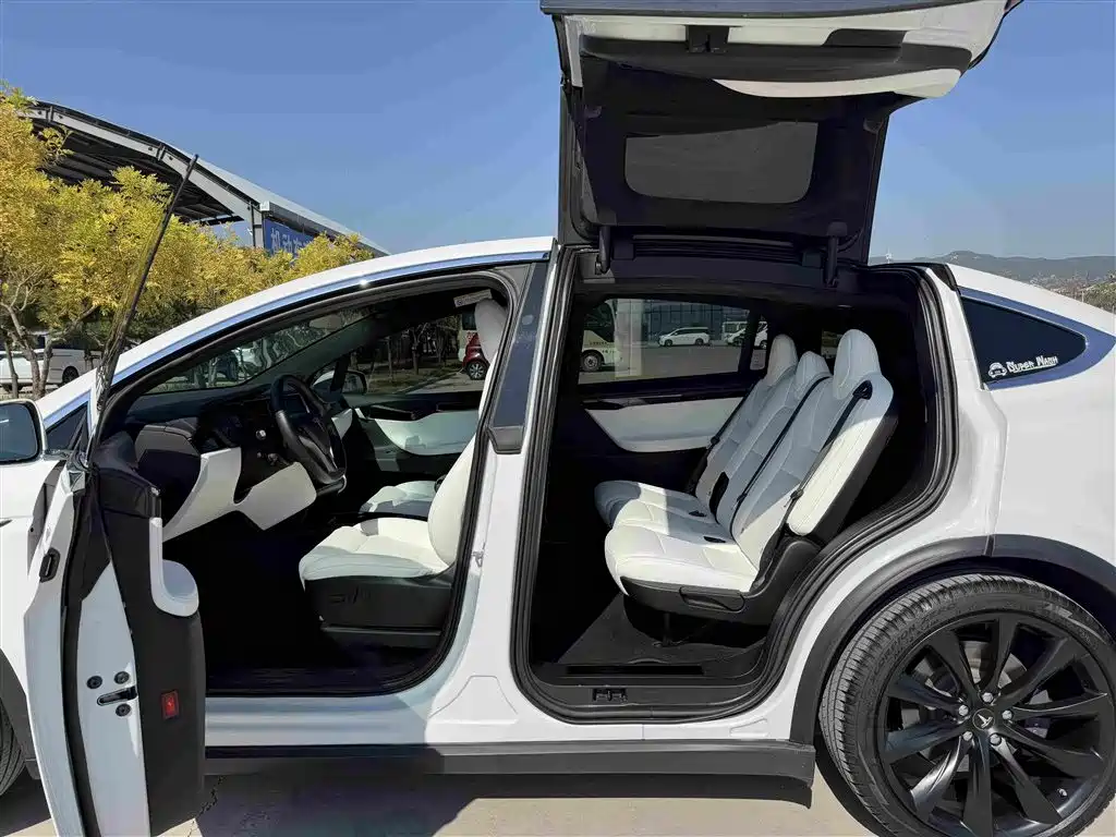 Tesla Model X — фото 11