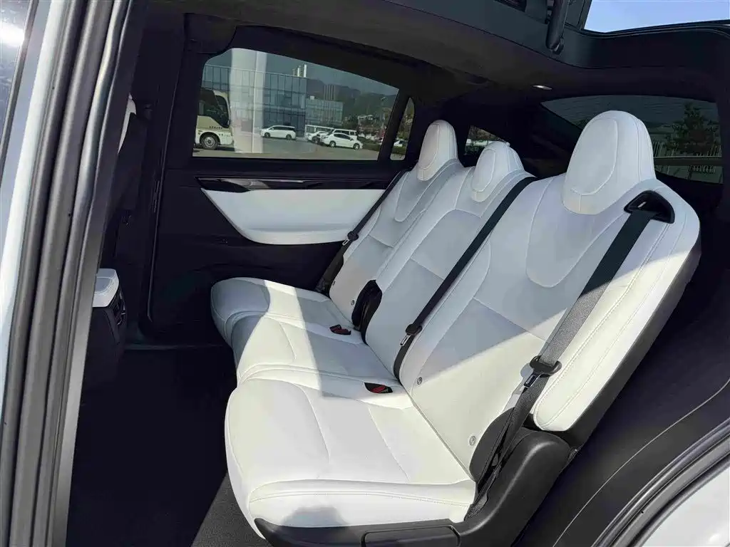 Tesla Model X — фото 13