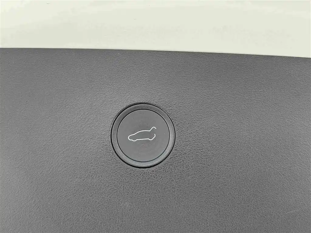 Tesla Model X — фото 17