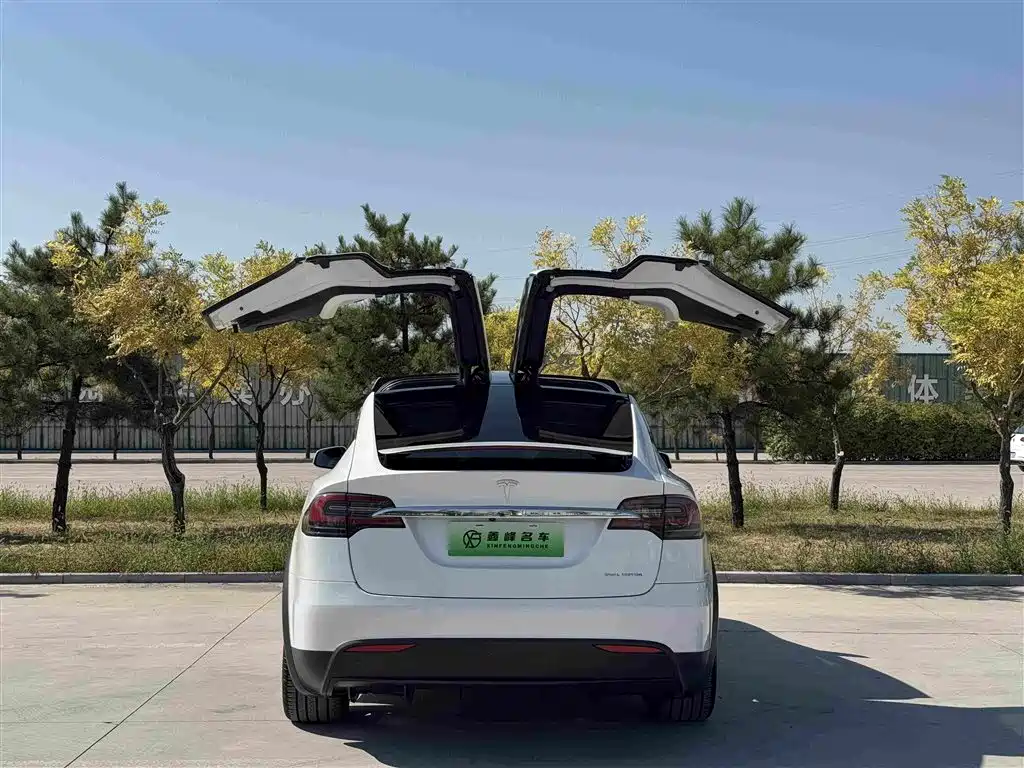Tesla Model X — фото 18
