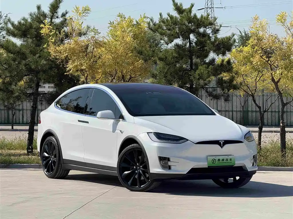 Tesla Model X — фото 3