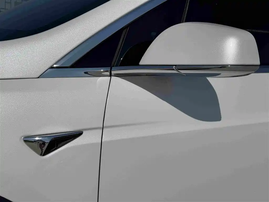 Tesla Model X — фото 21