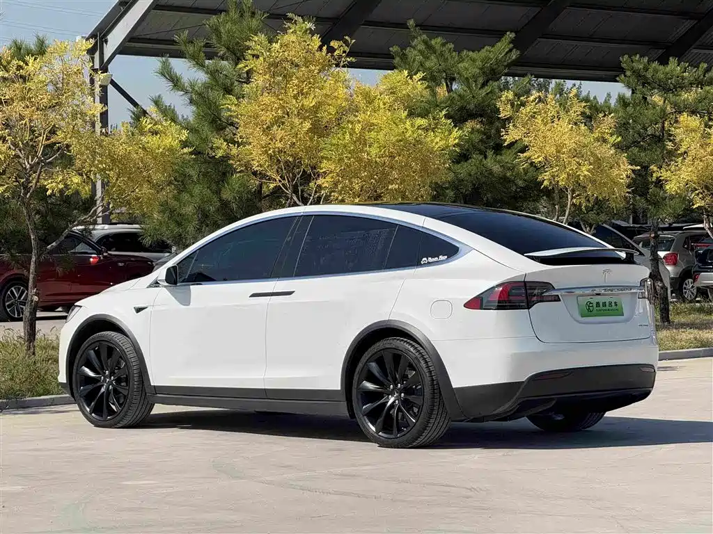 Tesla Model X — фото 25