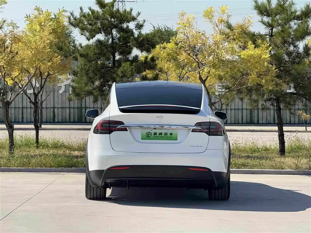 Tesla Model X — фото 26