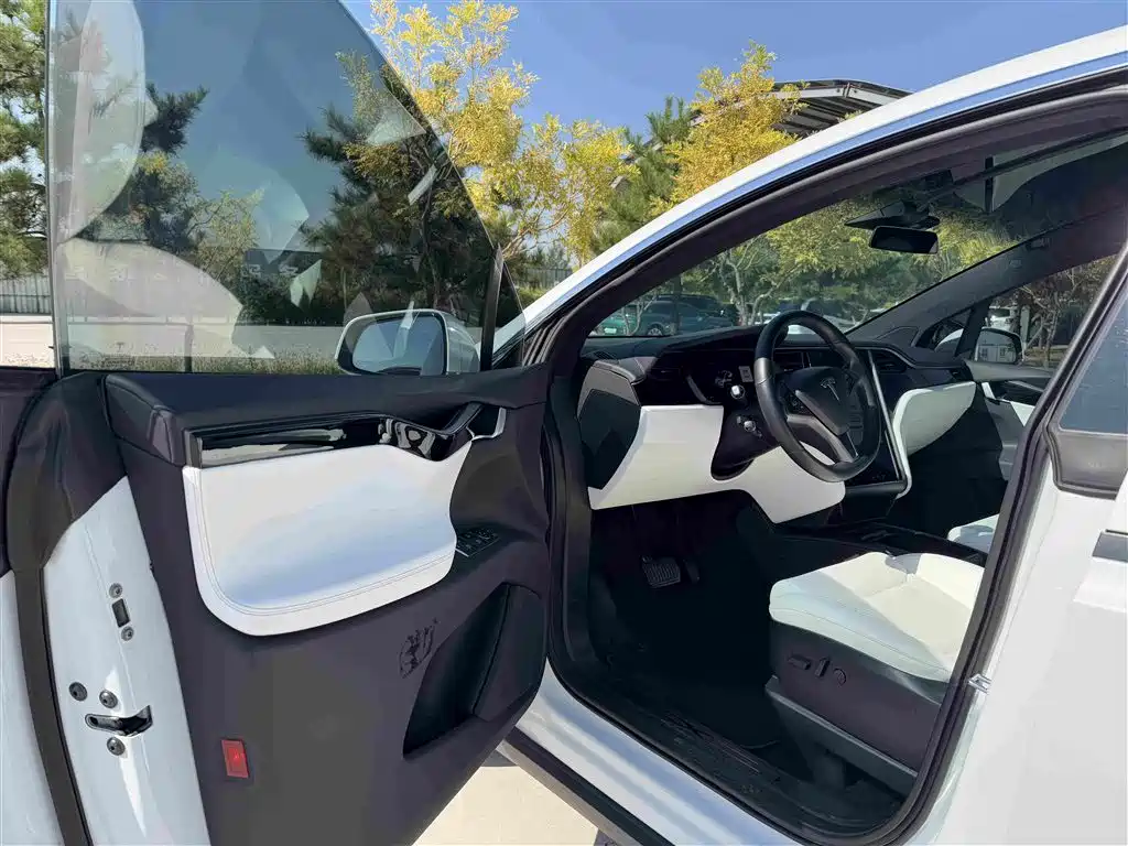 Tesla Model X — фото 5
