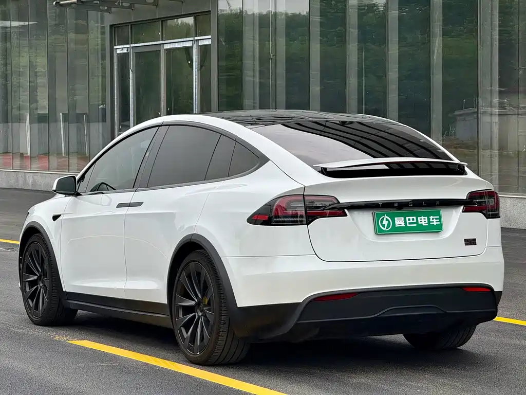 Tesla Model X — фото 11