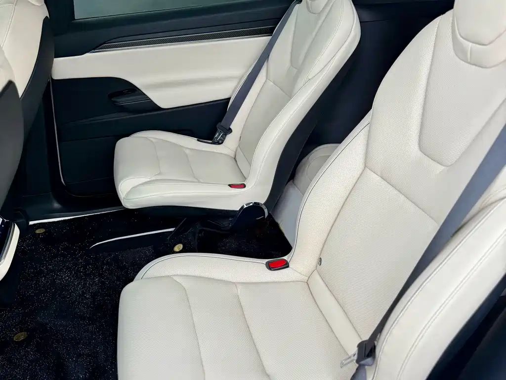 Tesla Model X — фото 14