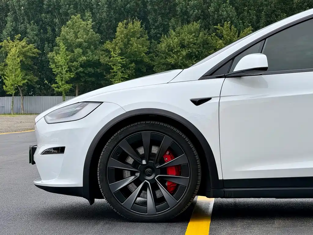 Tesla Model X — фото 5