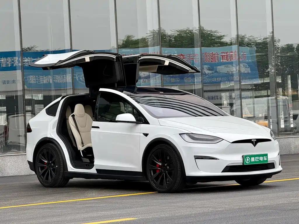 Tesla Model X — фото 6