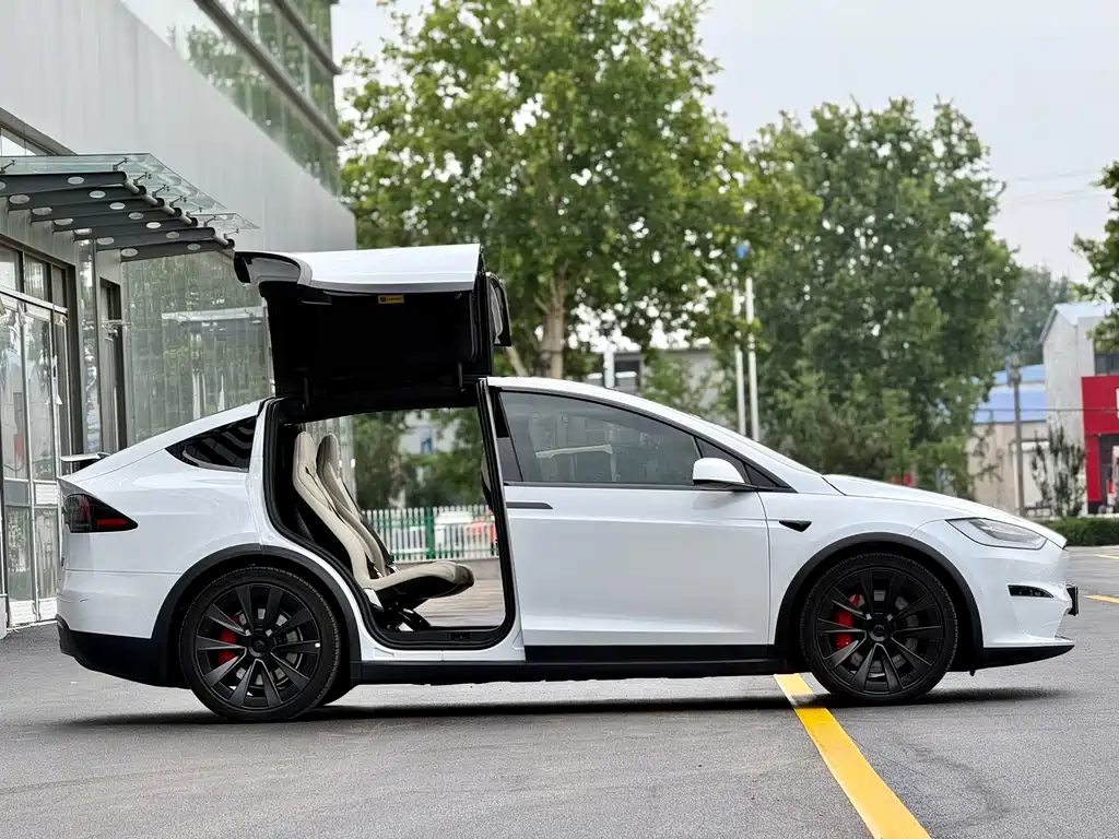 Tesla Model X — фото 7