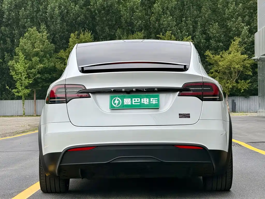Tesla Model X — фото 9