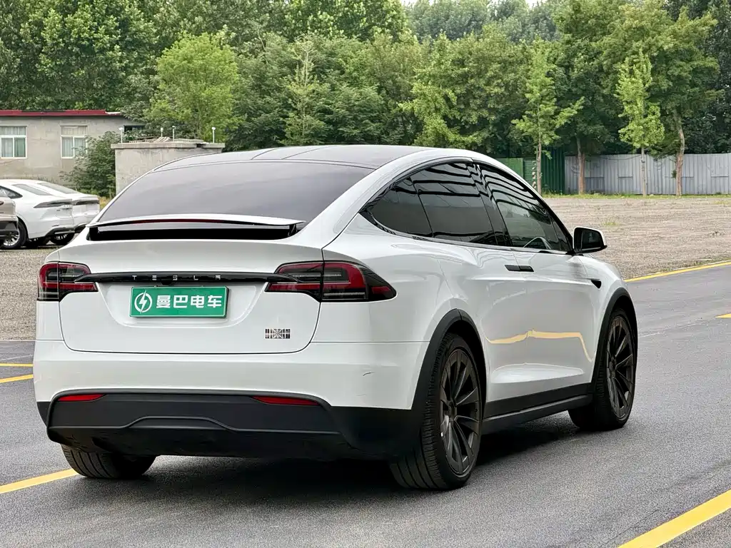 Tesla Model X — фото 10