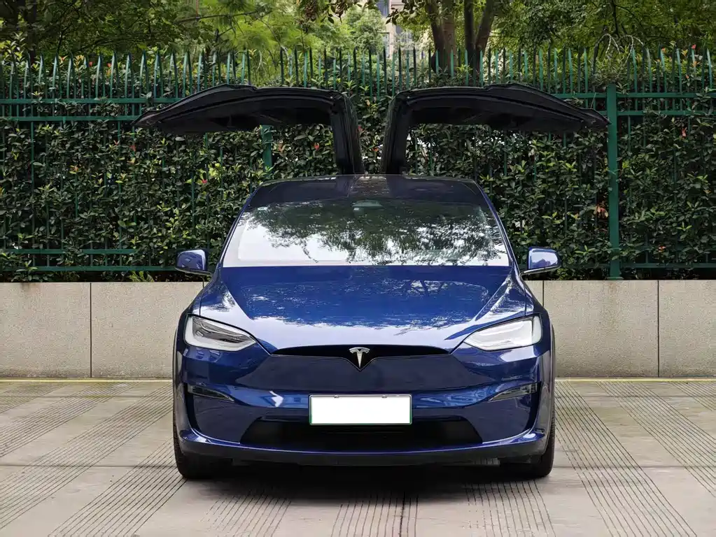 Tesla Model X — фото 2