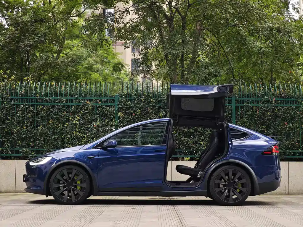 Tesla Model X — фото 13