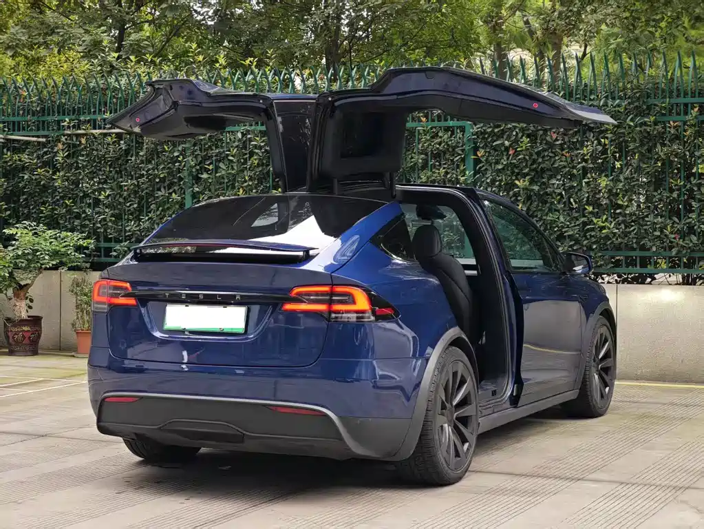 Tesla Model X — фото 14