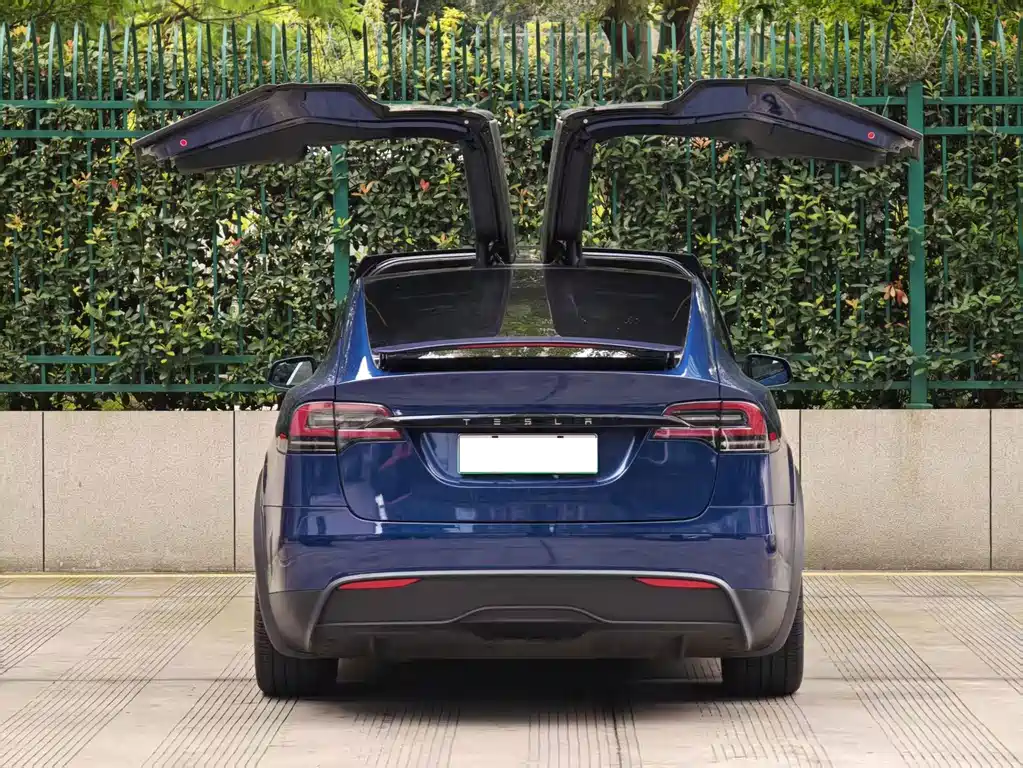 Tesla Model X — фото 15