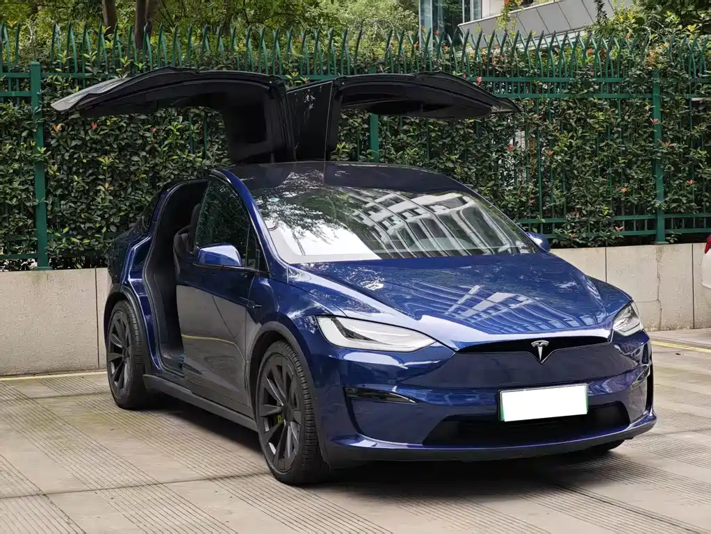 Tesla Model X — фото 3