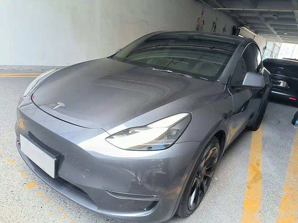 Tesla Model Y — фото 2