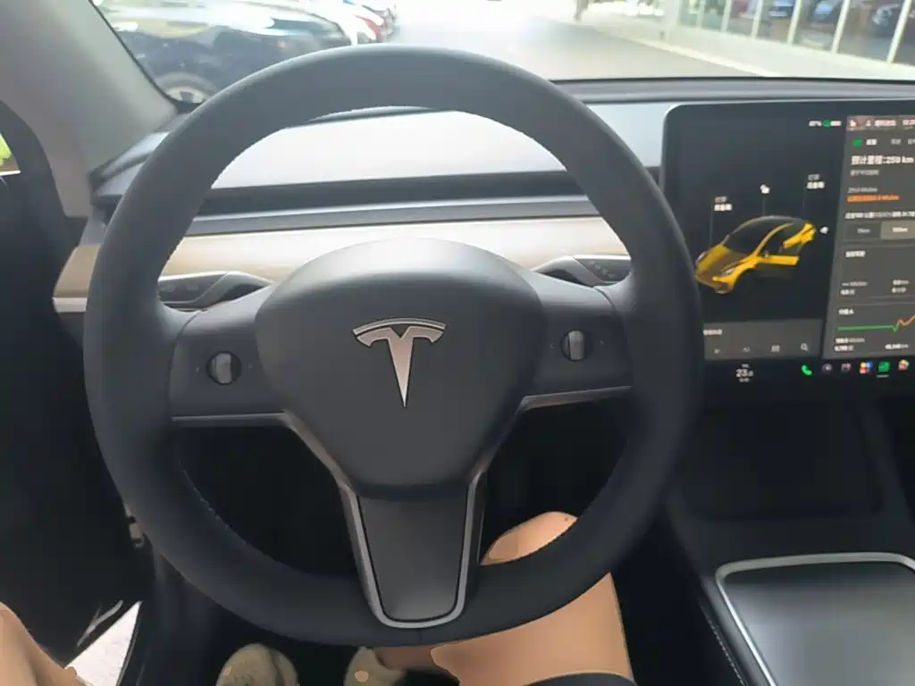 Tesla Model Y — фото 11