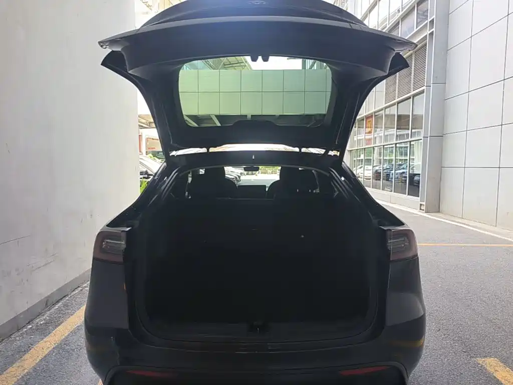Tesla Model Y — фото 19
