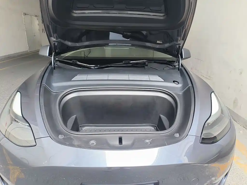 Tesla Model Y — фото 20