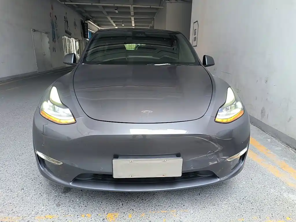 Tesla Model Y — фото 3