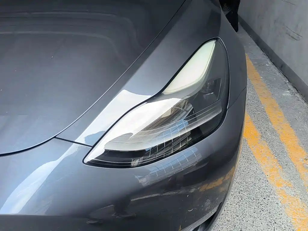 Tesla Model Y — фото 24