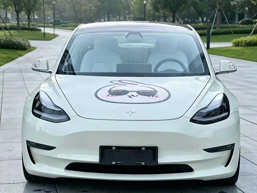 Tesla Model 3 — фото 2