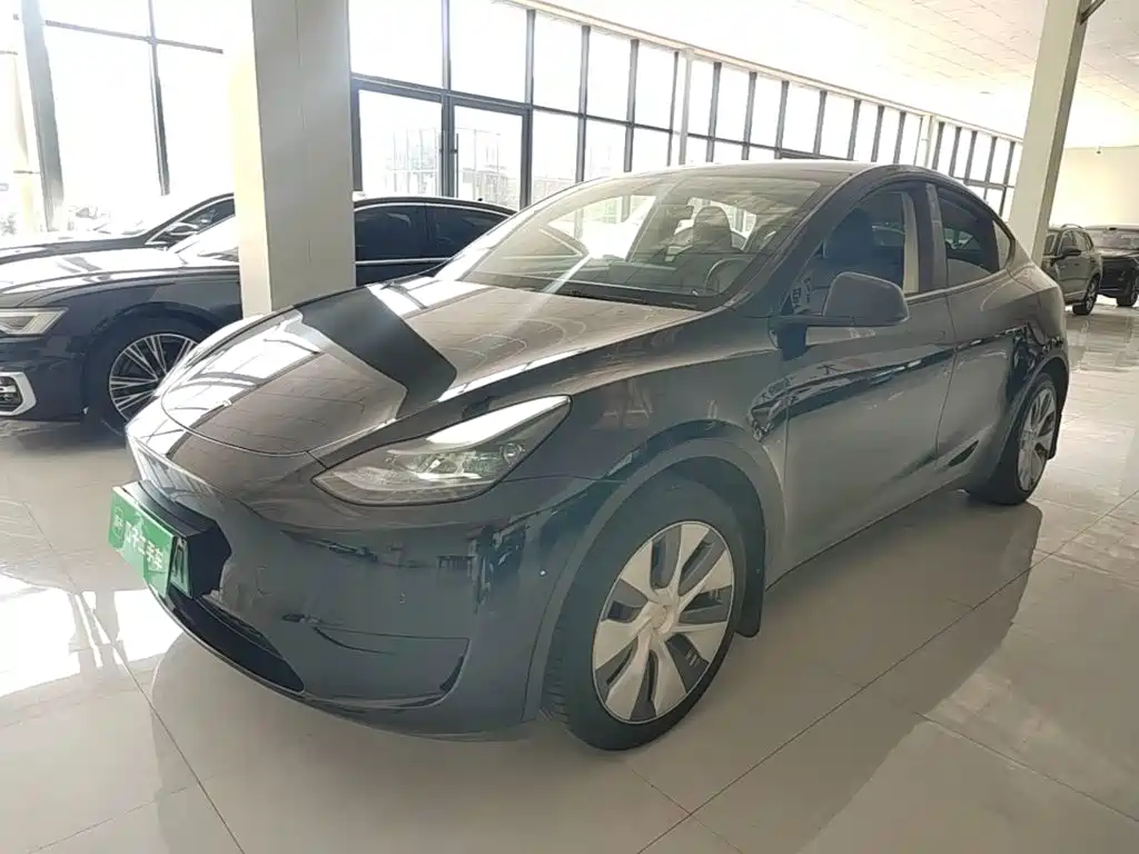 Tesla Model Y — фото 2