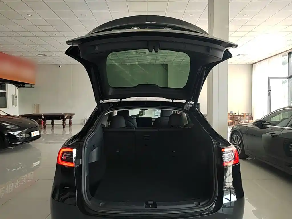 Tesla Model Y — фото 19