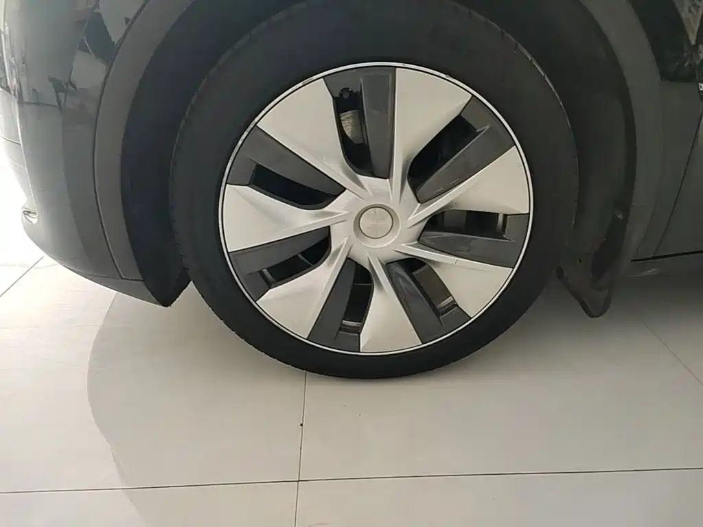 Tesla Model Y — фото 23