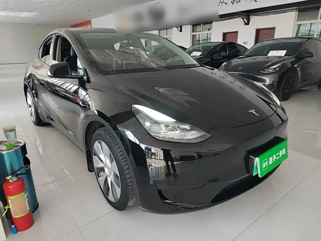 Tesla Model Y — фото 4