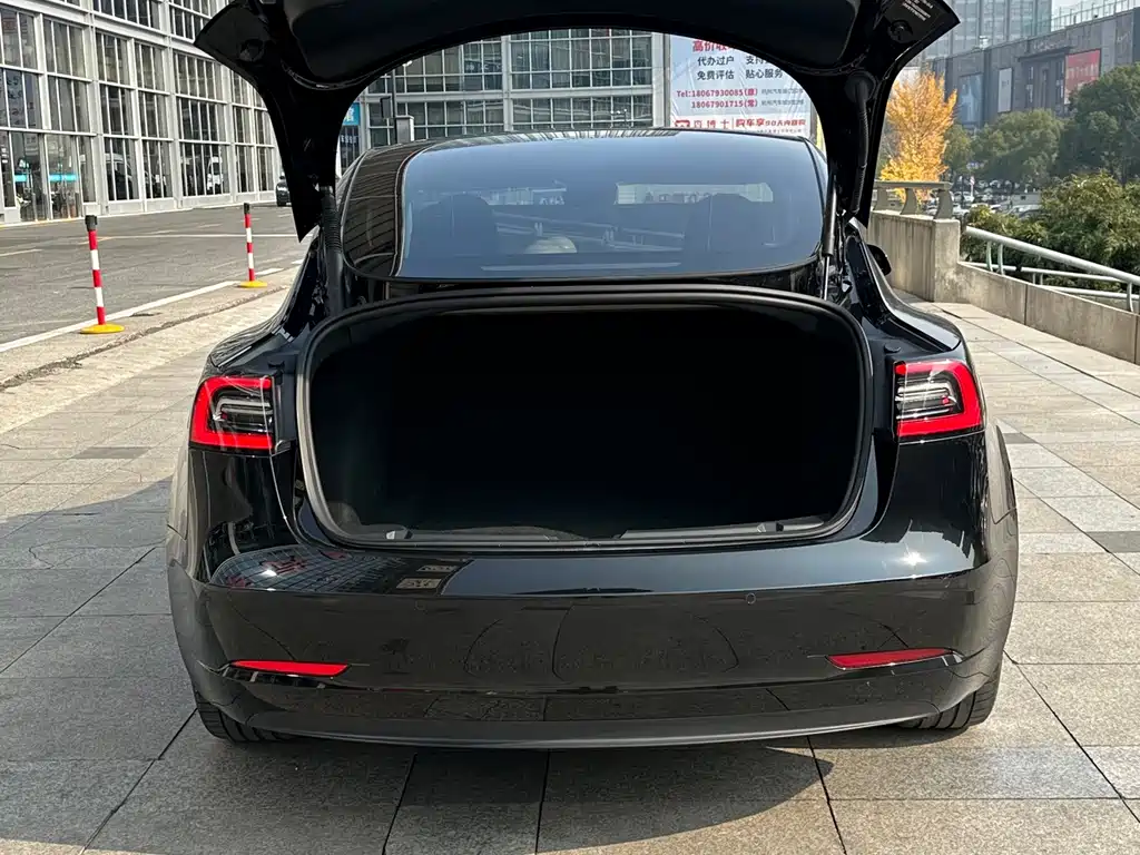 Tesla Model 3 — фото 14