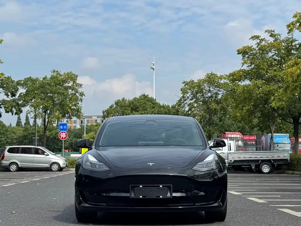 Tesla Model 3 — фото 2
