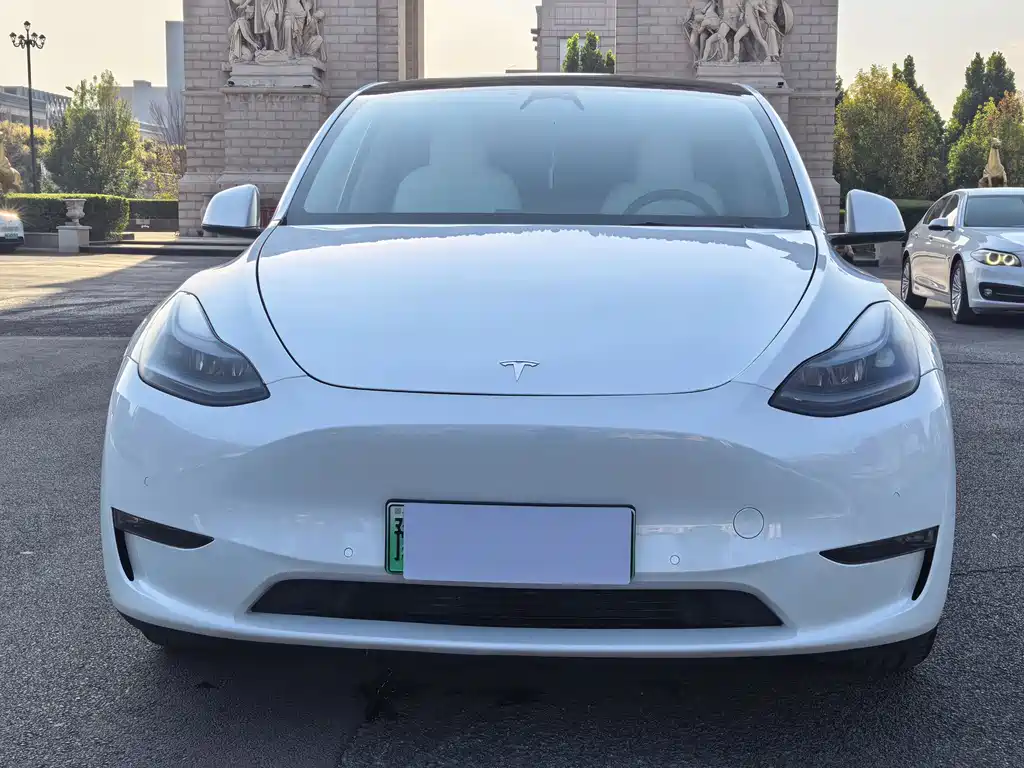 Tesla Model Y — фото 2