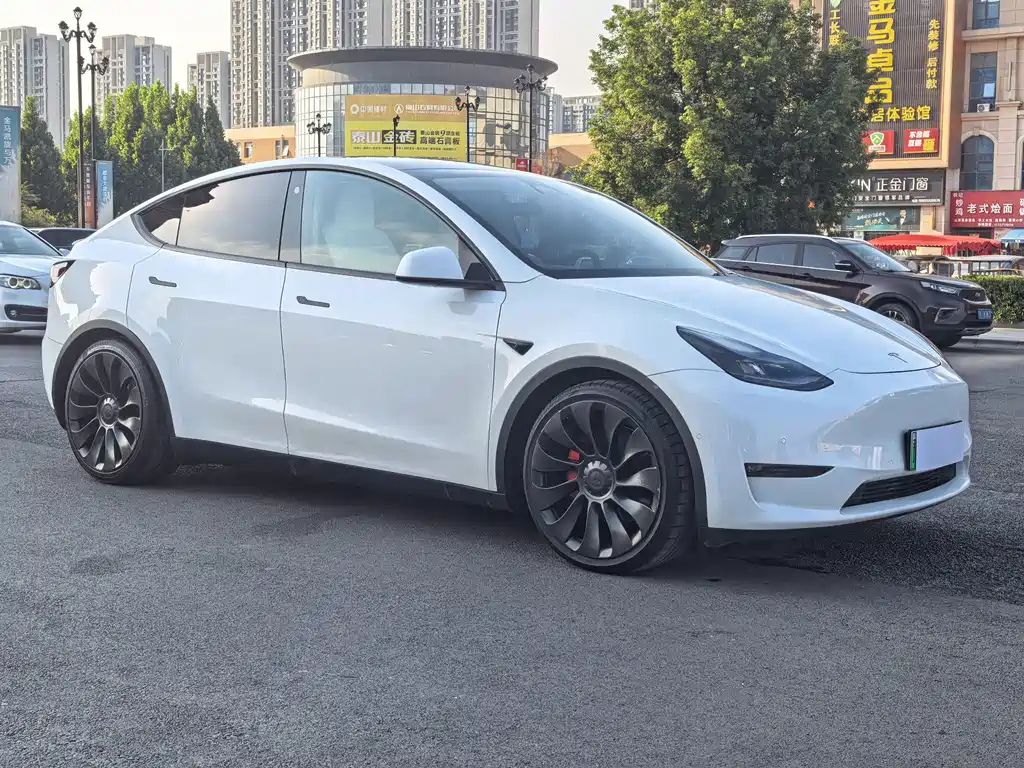 Tesla Model Y — фото 3
