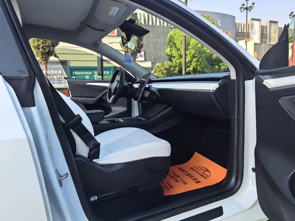 Tesla Model Y — фото 10