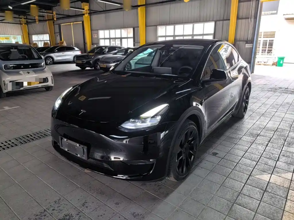 Tesla Model Y — фото 2