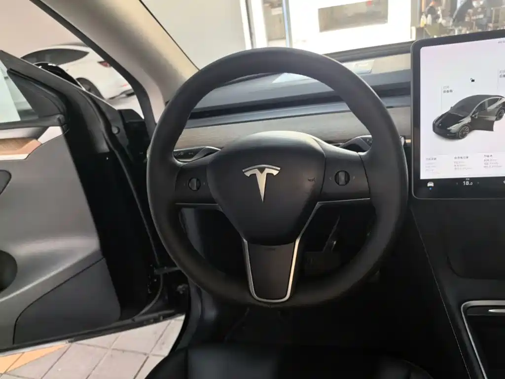 Tesla Model Y — фото 11