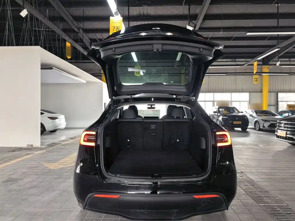 Tesla Model Y — фото 19