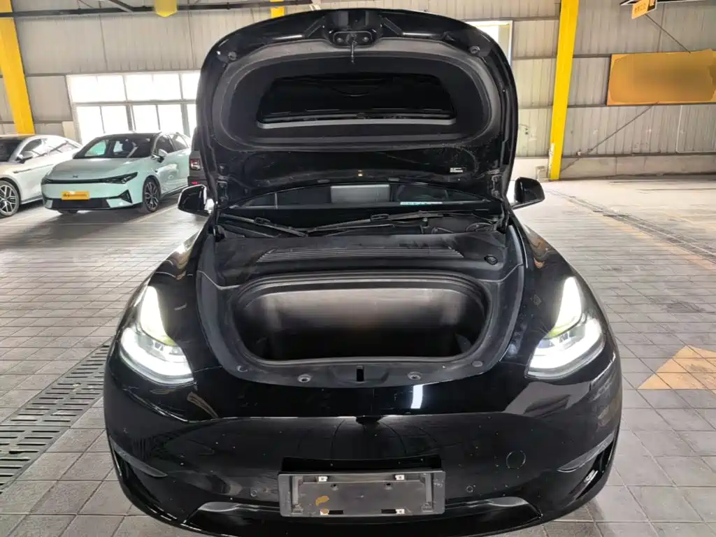 Tesla Model Y — фото 20