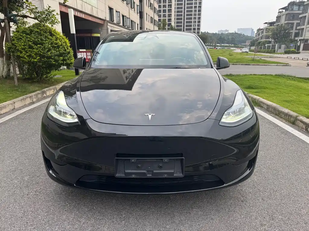 Tesla Model Y — фото 2
