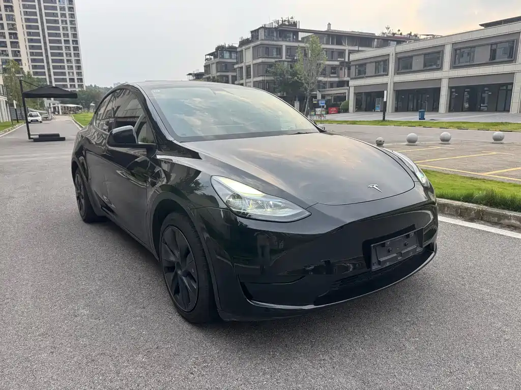 Tesla Model Y — фото 3