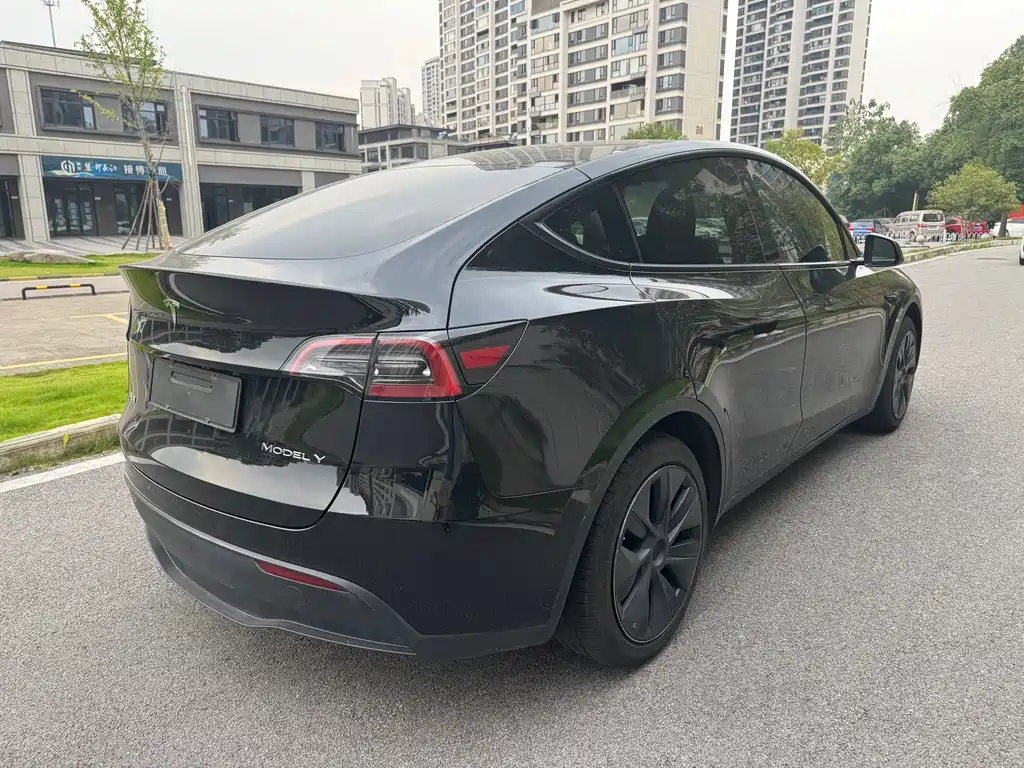 Tesla Model Y — фото 4