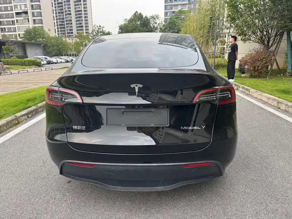 Tesla Model Y — фото 5