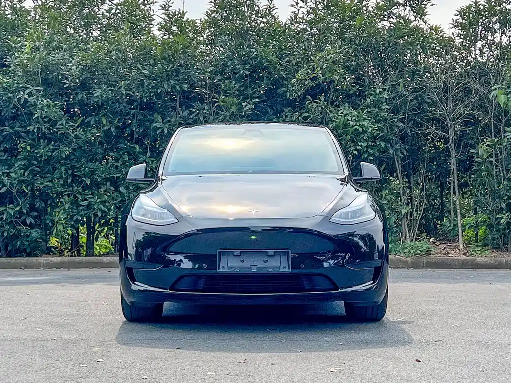 Tesla Model Y — фото 2