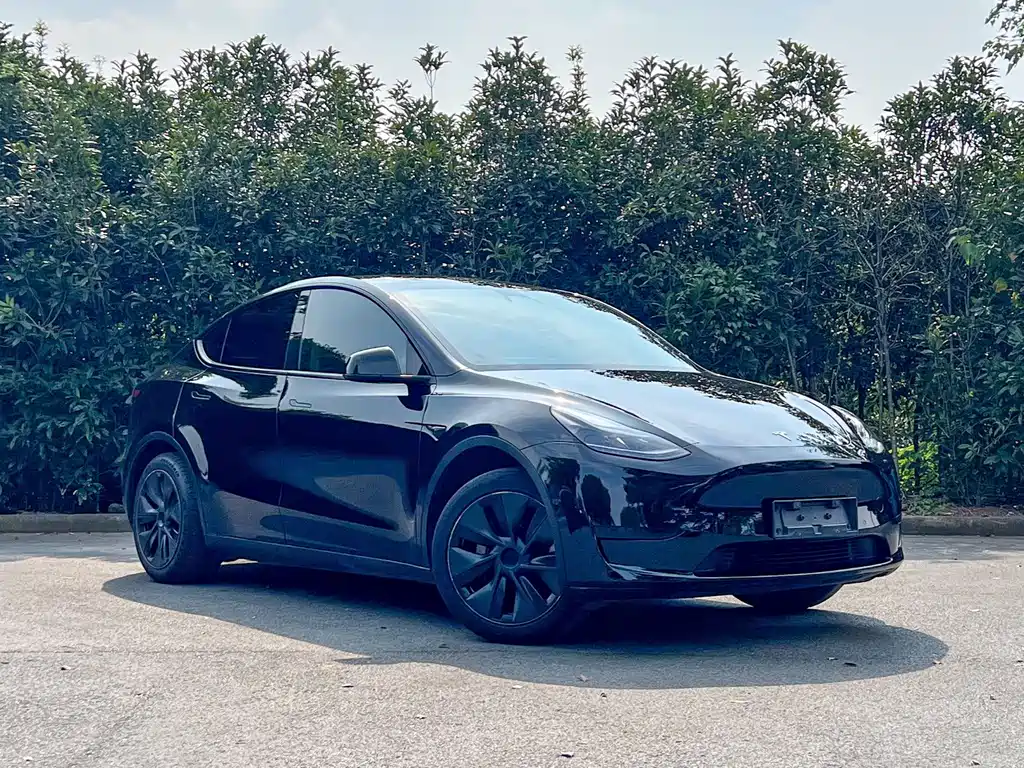 Tesla Model Y — фото 3