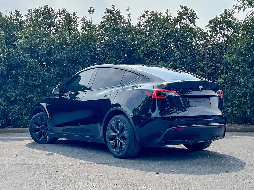 Tesla Model Y — фото 5